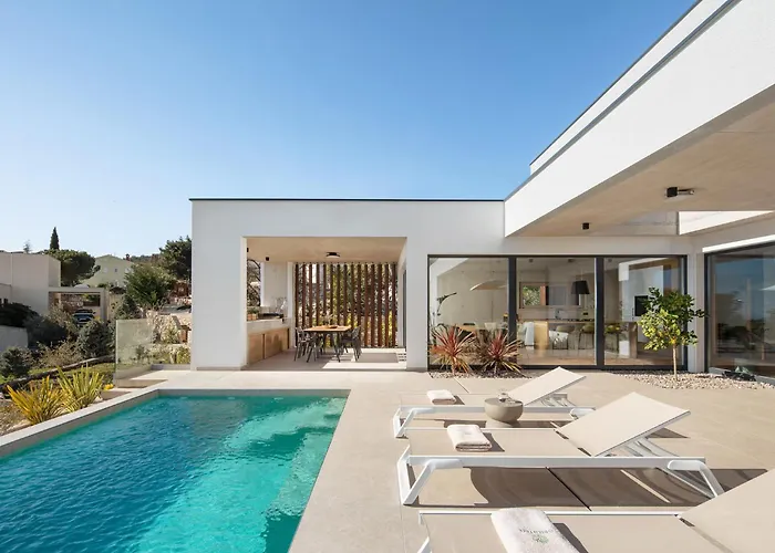 Tree - Immortella * 라벡