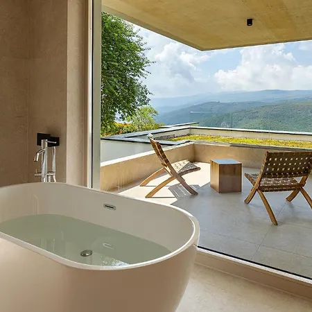 Tree - Immortella غاباس